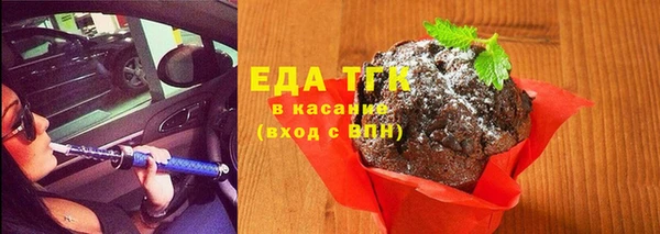 шишки Верея
