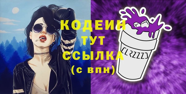 шишки Верея