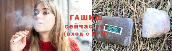 гашик Тавда