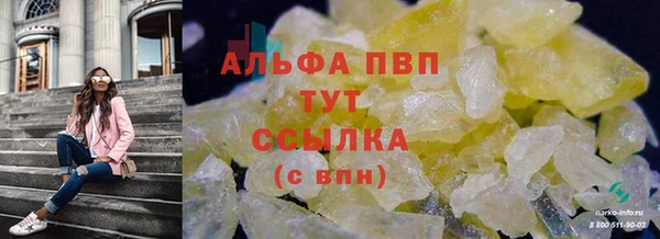 шишки Верея