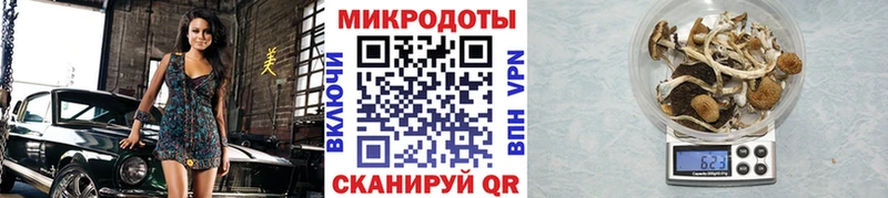 Галлюциногенные грибы Magic Shrooms  Купить  Екатеринбург 